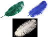 Plumes d’autruche, 60 cm