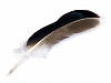 Duck Feathers length 10-14 cm