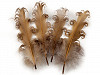 Husie perie kučeravé dĺžka 12-18 cm
