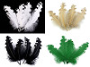Curly Goose Feathers length 12-18 cm