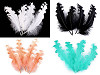 Plumas de ganso rizadas, largo 12-18 cm