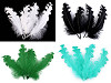 Curly Goose Feathers length 12-18 cm