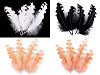 Curly Goose Feathers length 12-18 cm