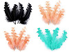 Plumes d’oie, frisées, longueur 12-18 cm