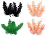 Curly Goose Feathers length 12-18 cm