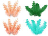 Piume d'oca, effetto frisé, lunghezza: 12-18 cm
