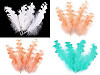 Plumes d’oie, frisées, longueur 12-18 cm