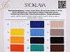 Colour Card - Polypropylene Webbing