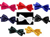 Nœud papillon de fête en satin