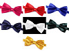 Party Satin Bow Tie
