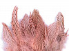 Pheasant feathers length 5 - 11 cm