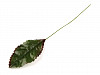 Rose Leaf Pick