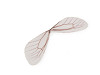 Dragonfly Wings - DIY product 2.5x8 cm