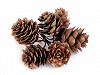 Pine Cones on Wire 
