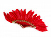 Party / Carnival Headband with Feathers