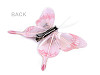 Decorative Butterfly 3D with Clip