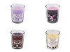 Scented Candle in Glass 60 g