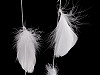 Feathers on a string / garland