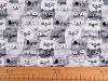 Minky Plush Fabric with 3D Dots Cats