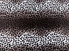Imitace zvířecí kůže / kožešina leopard