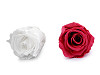 Stabilisierte/ewige Rose Ø 40 mm