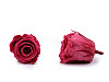 Stabilisierte/ewige Rose Ø 40 mm