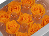 Stabilisierte/ewige Rose Ø 35 mm