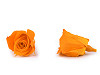 Stabilisierte/ewige Rose Ø 35 mm