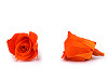 Stabilizovaná / věčná růže Ø35 mm