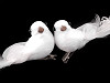 Dekorace holubice s kudrnatým peřím, s klipem