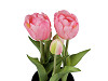 Élethű cserepes tulipán