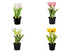Tulipani artificiali, in un vaso di fiori