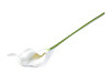 Fleur artificielle de lys Calla