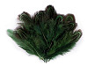 Plumes de faisan, longueur 5-7 cm