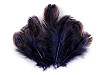 Plumes de faisan, longueur 5-7 cm