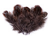 Pheasant Feathers length 5-7 cm