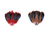 Plumas de pato, largo 13-15 cm