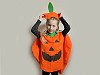 Carnival / Party Costume - Pumpkin