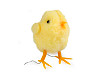 Easter Decoration, Duckling, Chick