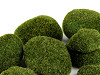 Decorative moss stones
