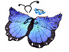 Karnevalový kostým - motýl (1 sada)