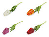 mű tulipán