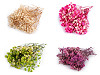 Dried / preserved baby's breath for floral arrangements
