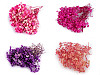 Gypsophila séchée/stabilisée pour compositions florales
