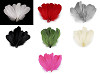 Goose feathers length 14-18 cm
