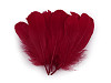 Goose feathers length 14-18 cm