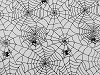 Organza Spinnennetz