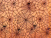 Organza Fabric, Cobweb