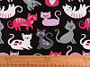 Cotton fabric / canvas, Cat