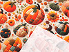 Cotton fabric / canvas with digital print, pumpkin / Autumn